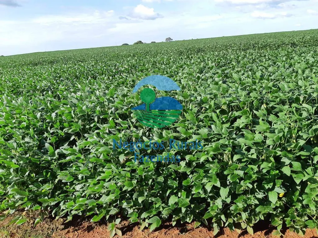 Fazenda à venda de 1.108 ha em Dois Irmãos do Tocantins, TO, Brasil