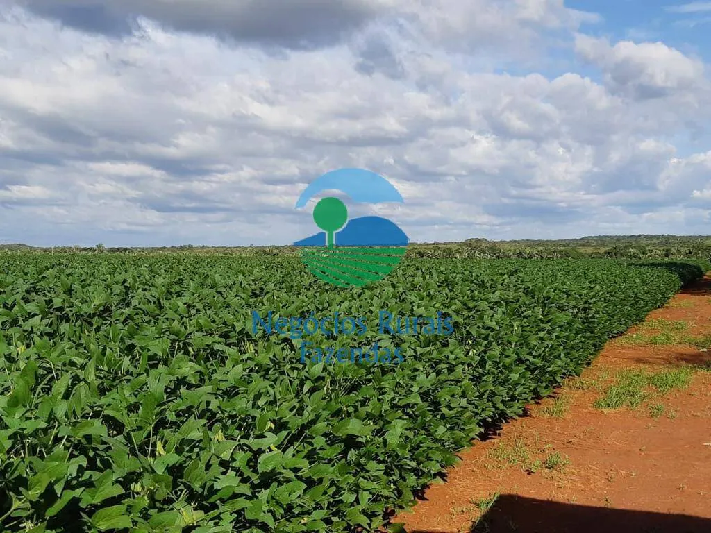 Fazenda à venda de 1.108 ha em Dois Irmãos do Tocantins, TO, Brasil
