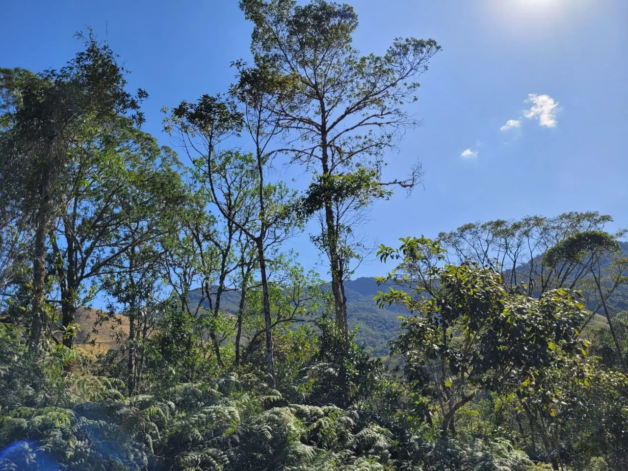 Terreno à venda de 4 ha em São José dos Campos, SP, Brasil