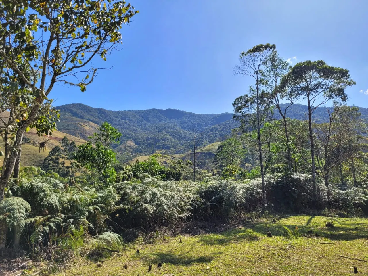 Terreno à venda de 4 ha em São José dos Campos, SP, Brasil