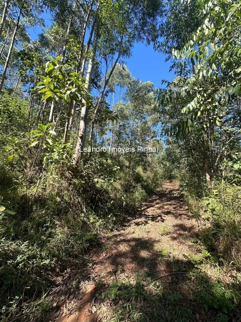 Sítio à venda de 20 ha em Santo Antônio do Pinhal, SP, Brasil