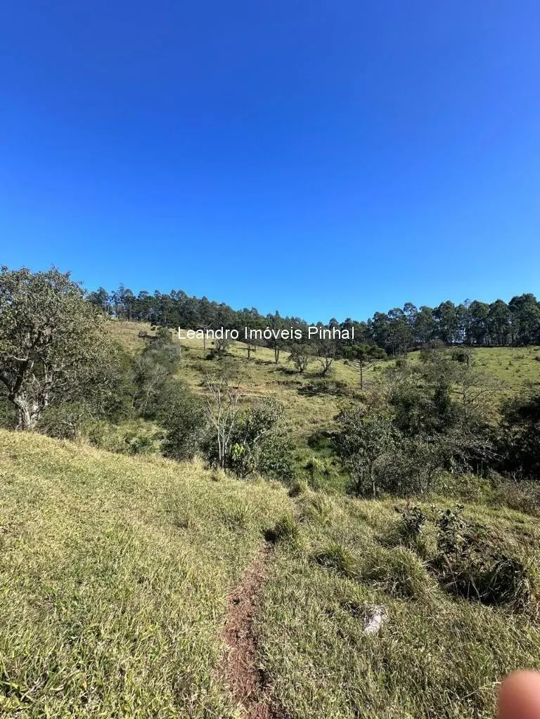 Sítio à venda de 20 ha em Santo Antônio do Pinhal, SP, Brasil