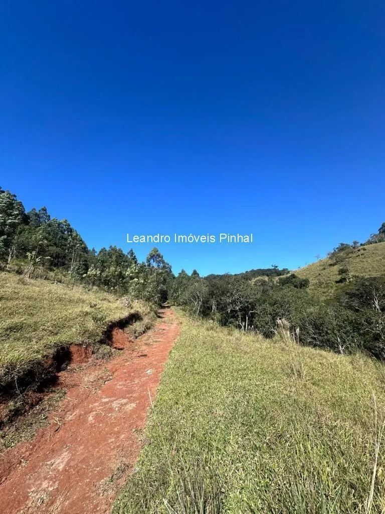 Sítio à venda de 20 ha em Santo Antônio do Pinhal, SP, Brasil