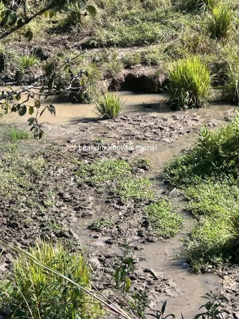 Sítio à venda de 20 ha em Santo Antônio do Pinhal, SP, Brasil