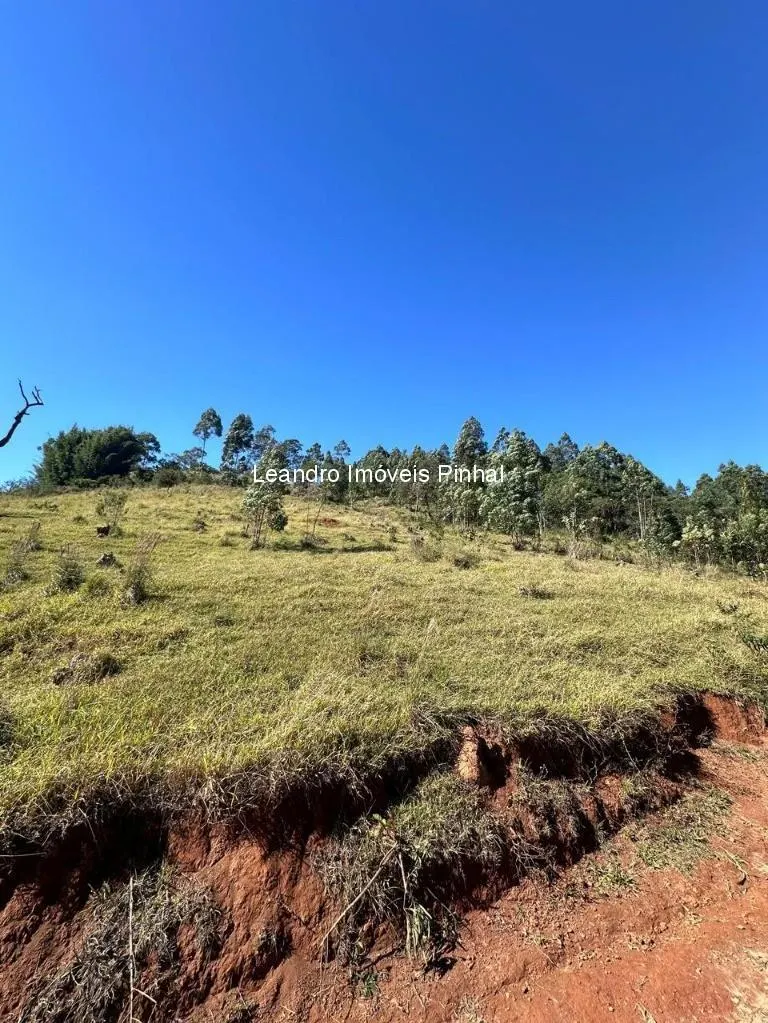 Sítio à venda de 20 ha em Santo Antônio do Pinhal, SP, Brasil