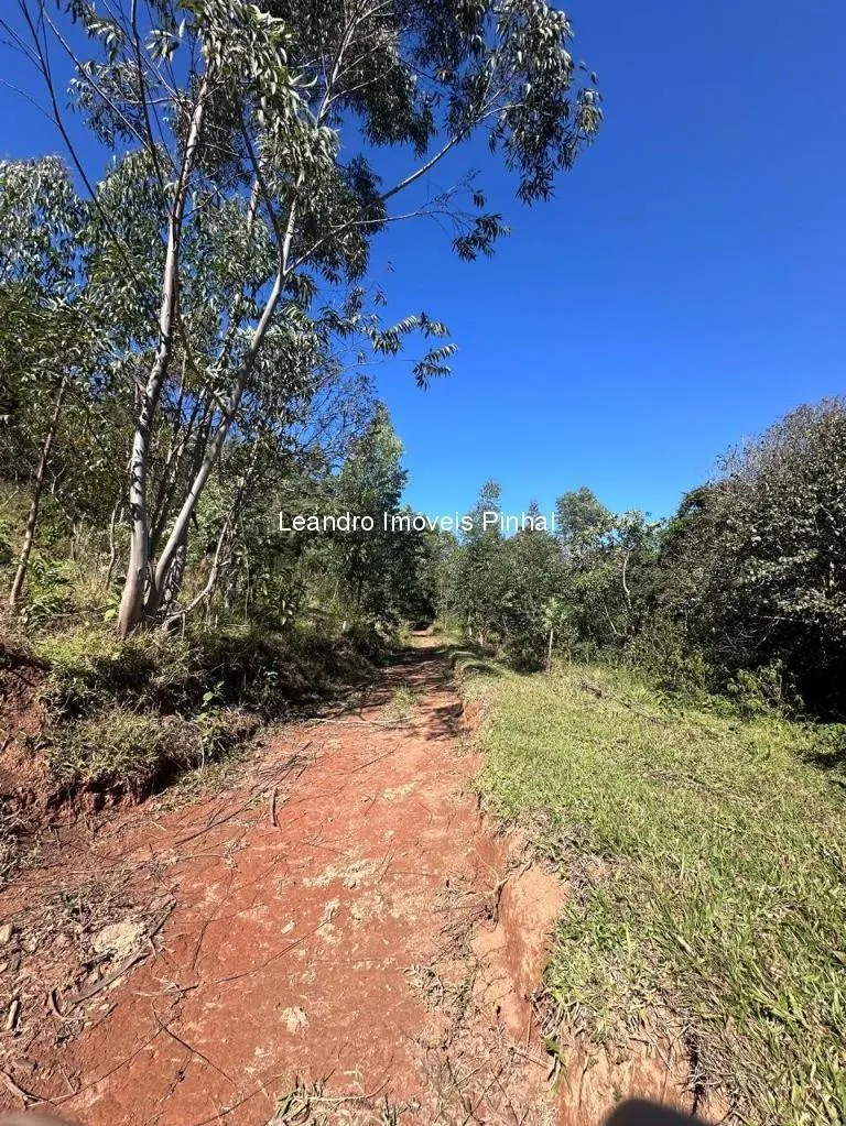 Sítio à venda de 20 ha em Santo Antônio do Pinhal, SP, Brasil