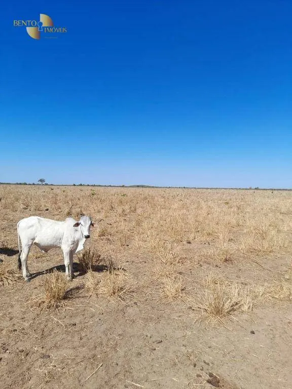 Fazenda à venda de 11.900 ha em Ribeirão Cascalheira, MT, Brasil
