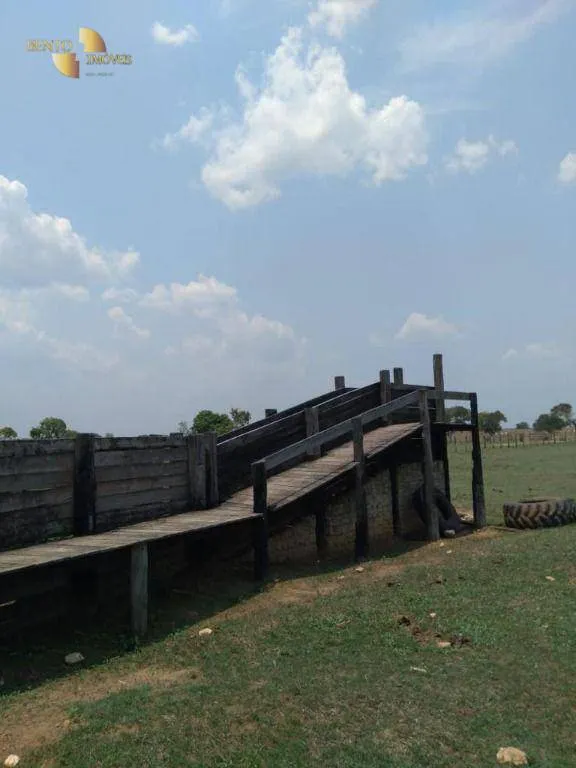 Fazenda à venda de 11.900 ha em Ribeirão Cascalheira, MT, Brasil