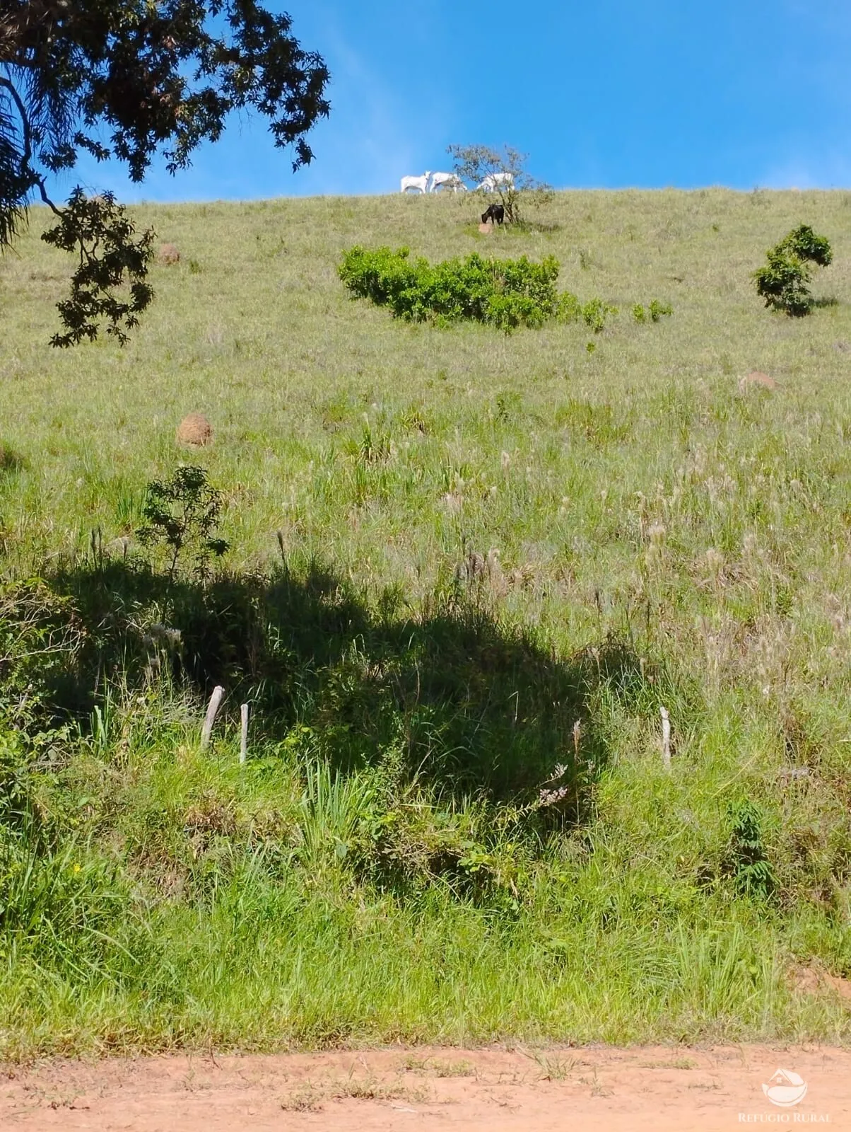 Farm for sale of 734 acres in Igaratá, SP, Brazil