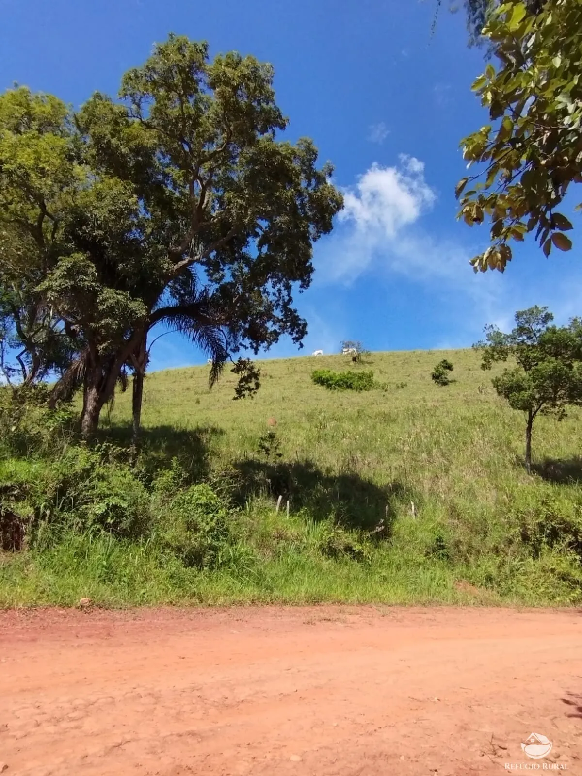 Farm for sale of 734 acres in Igaratá, SP, Brazil