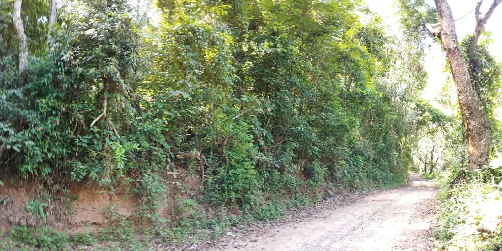 Farm for sale of 734 acres in Igaratá, SP, Brazil