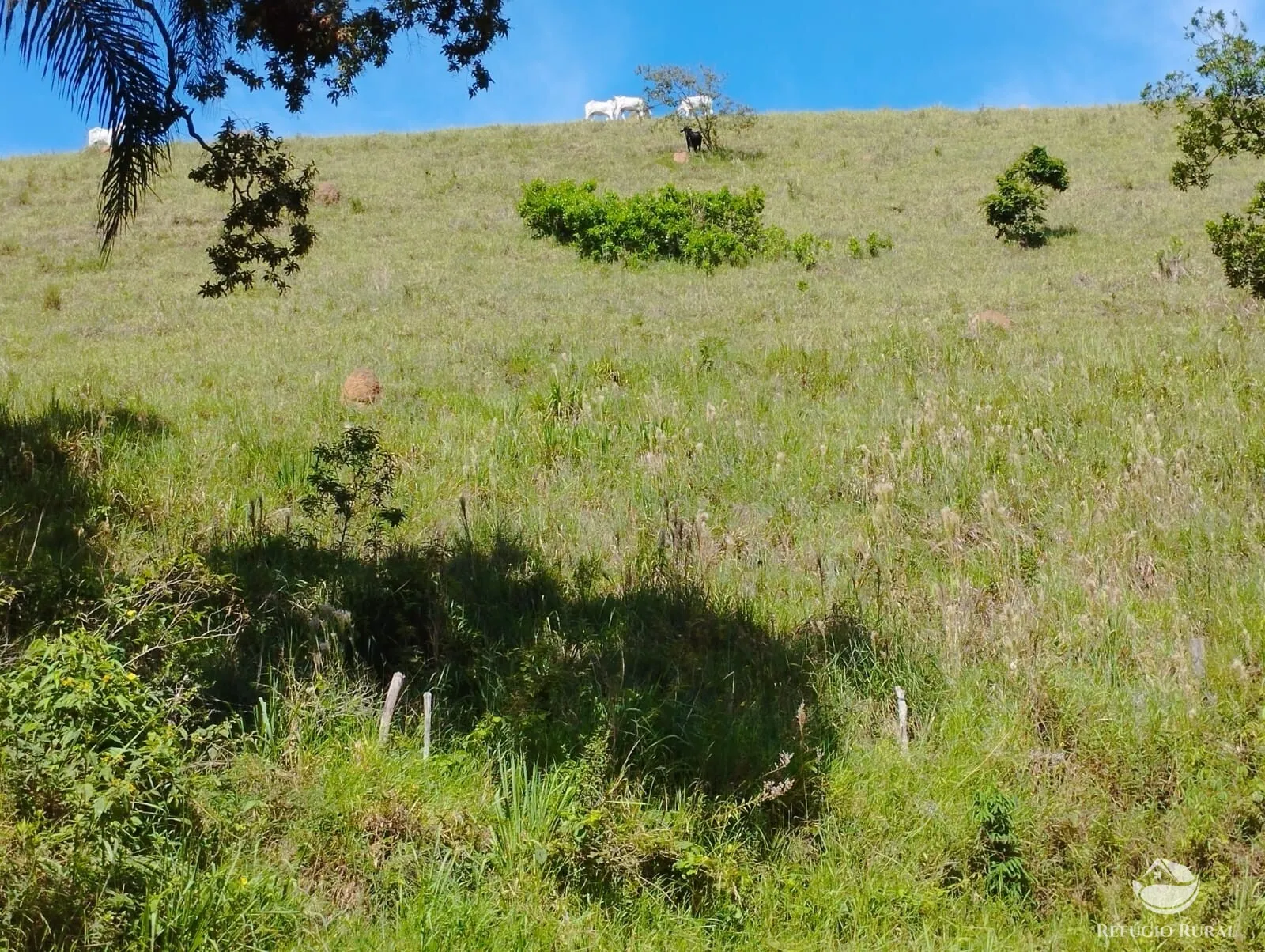 Farm for sale of 734 acres in Igaratá, SP, Brazil