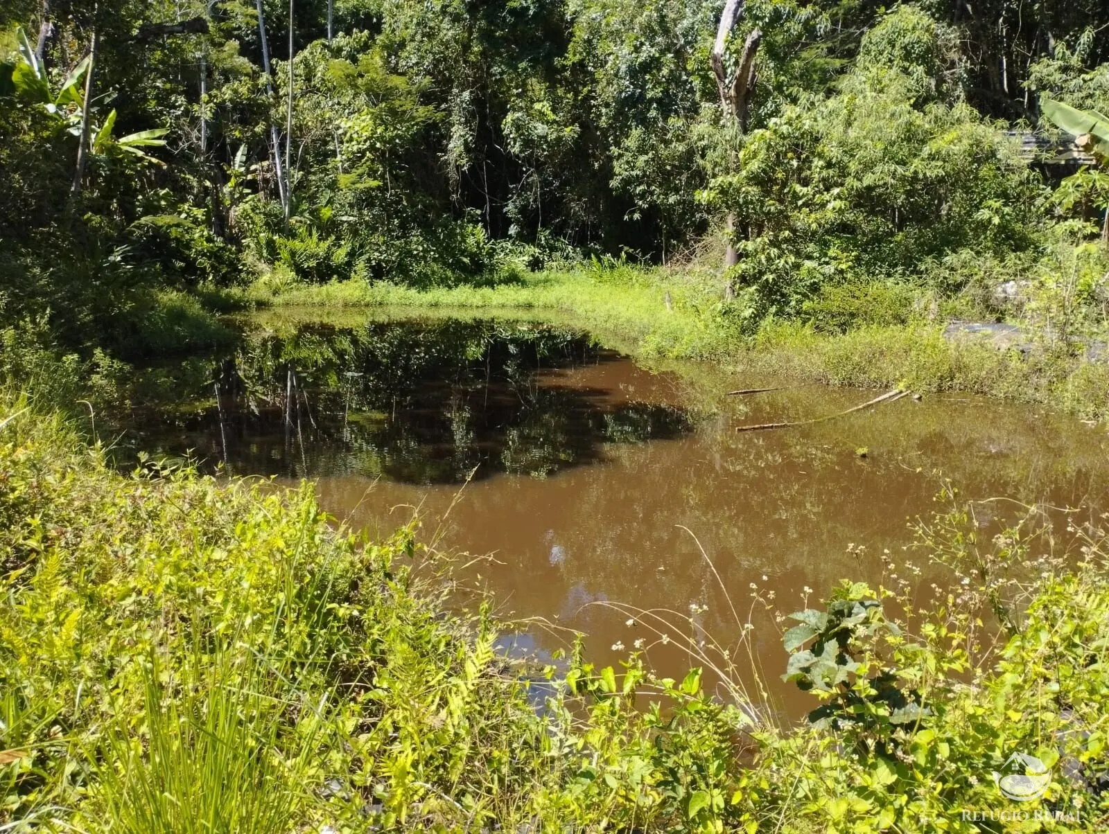 Farm for sale of 734 acres in Igaratá, SP, Brazil