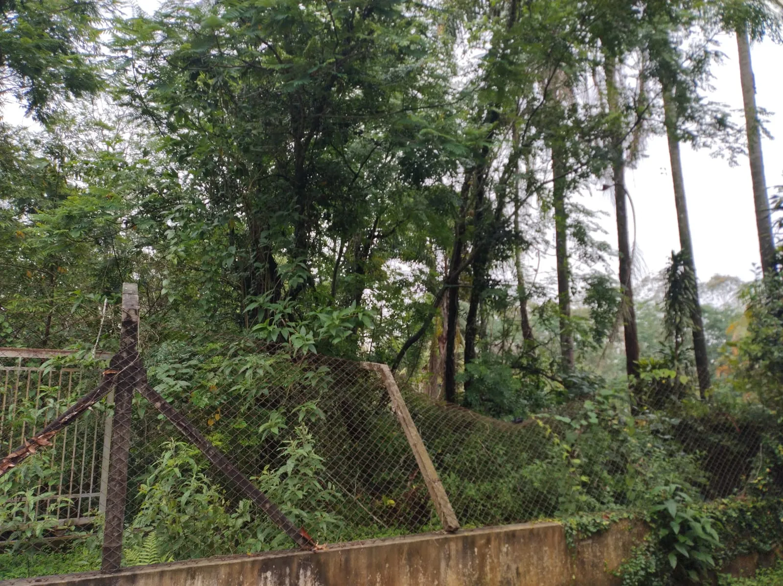 Chácara à venda de 9.000 m² em São José dos Campos, SP, Brasil