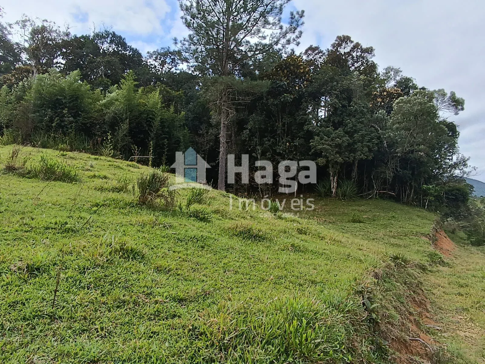 Chácara à venda de 2 ha em Angelina, SC, Brasil