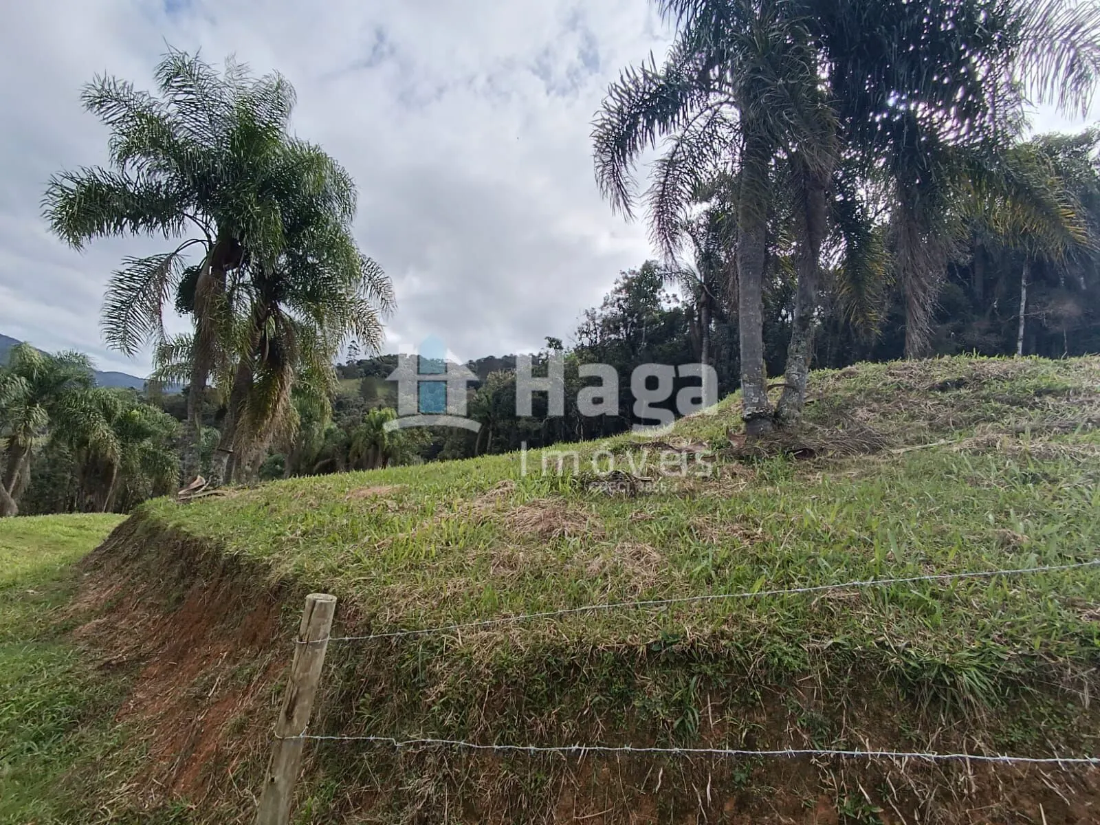 Chácara à venda de 2 ha em Angelina, SC, Brasil