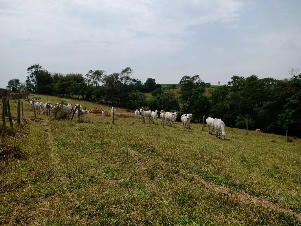 Small farm for sale of 42 acres in São Miguel Arcanjo, SP, Brazil