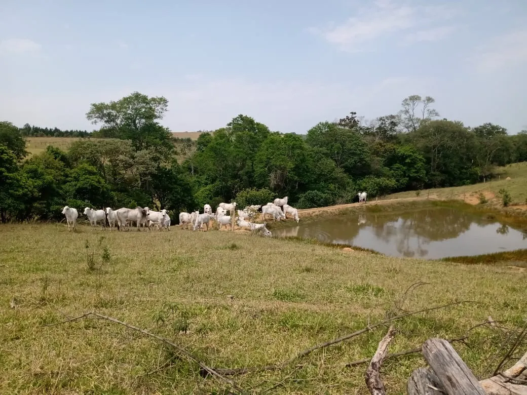 Small farm for sale of 42 acres in São Miguel Arcanjo, SP, Brazil
