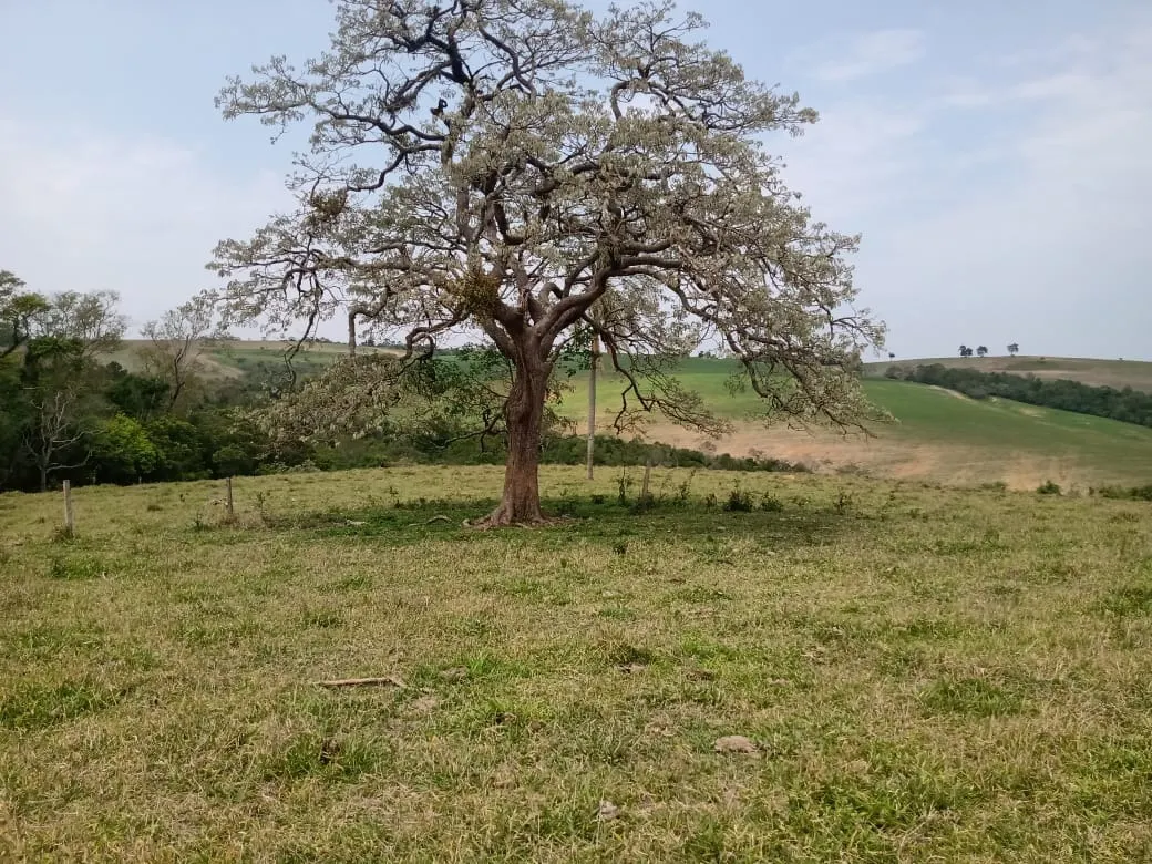 Small farm for sale of 42 acres in São Miguel Arcanjo, SP, Brazil