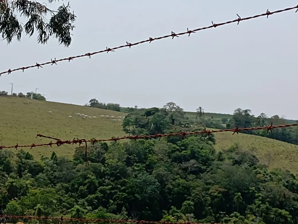 Small farm for sale of 42 acres in São Miguel Arcanjo, SP, Brazil