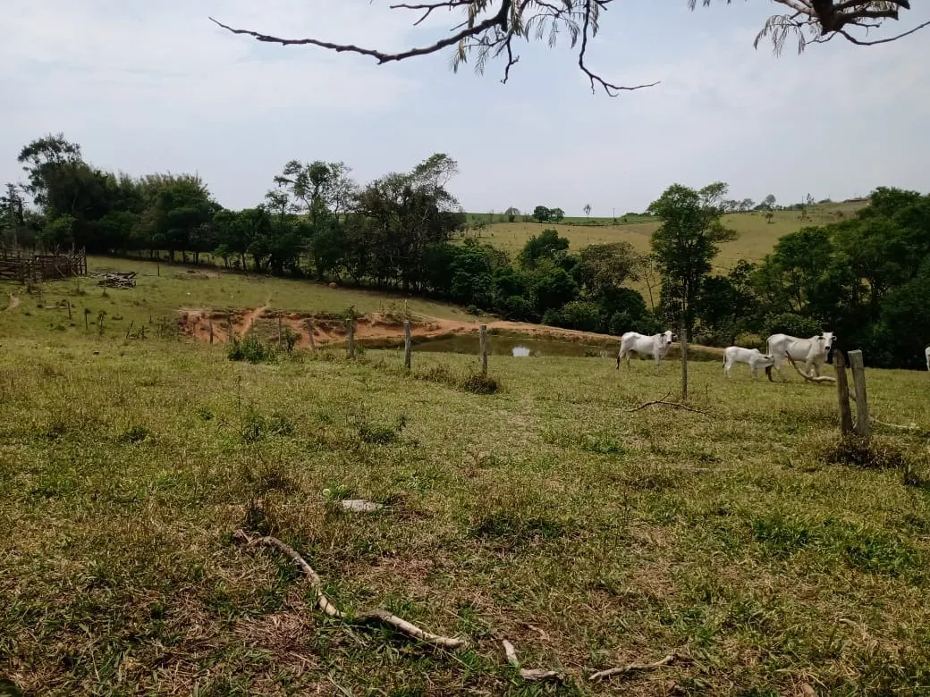Small farm for sale of 42 acres in São Miguel Arcanjo, SP, Brazil