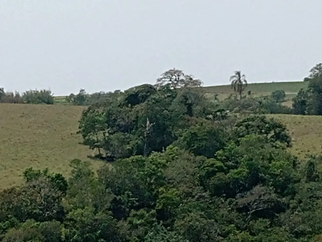 Small farm for sale of 42 acres in São Miguel Arcanjo, SP, Brazil
