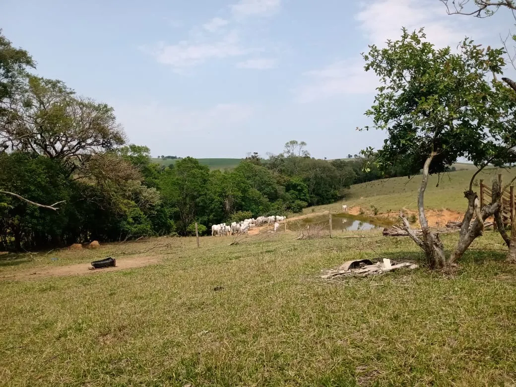 Small farm for sale of 42 acres in São Miguel Arcanjo, SP, Brazil