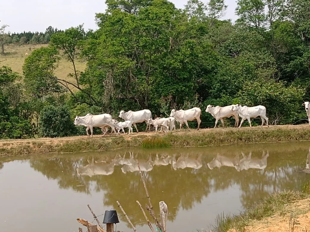 Small farm for sale of 42 acres in São Miguel Arcanjo, SP, Brazil
