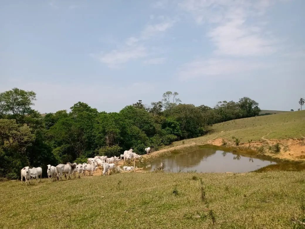 Small farm for sale of 42 acres in São Miguel Arcanjo, SP, Brazil