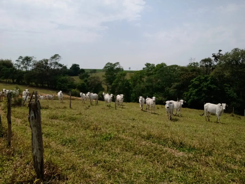 Small farm for sale of 42 acres in São Miguel Arcanjo, SP, Brazil