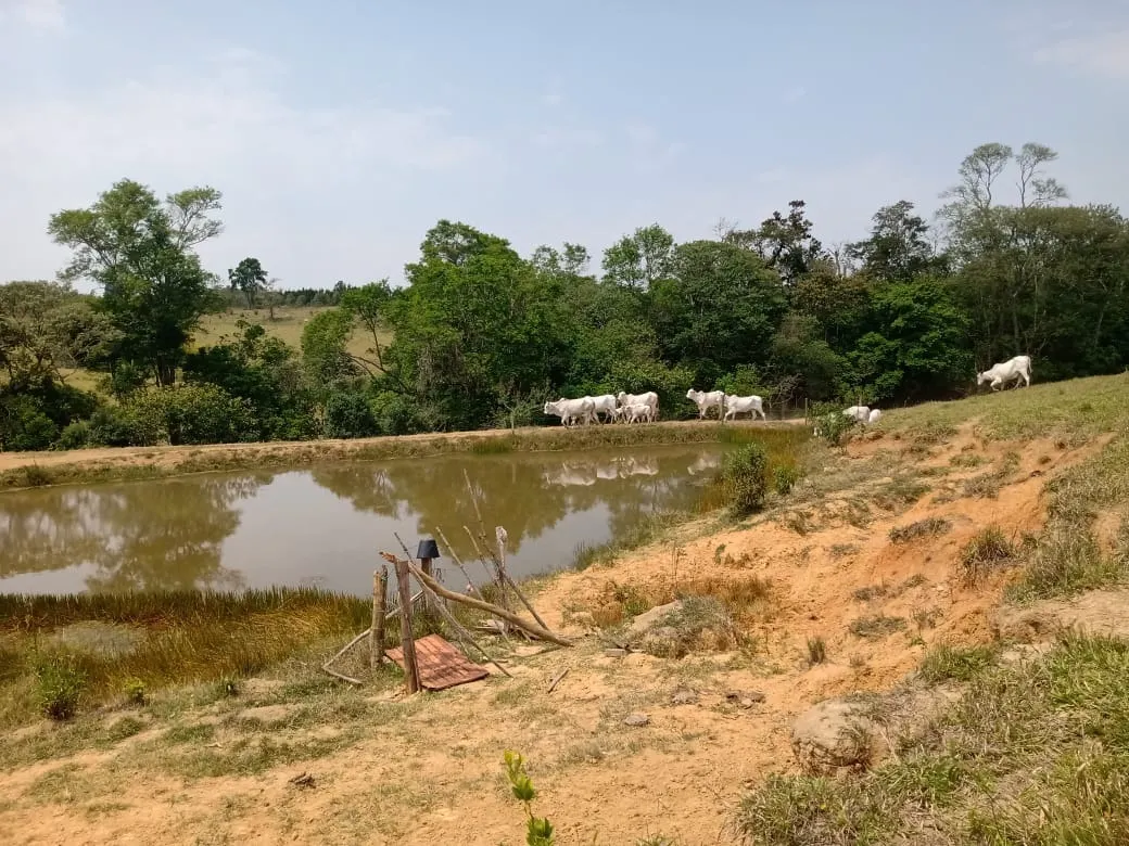 Small farm for sale of 42 acres in São Miguel Arcanjo, SP, Brazil