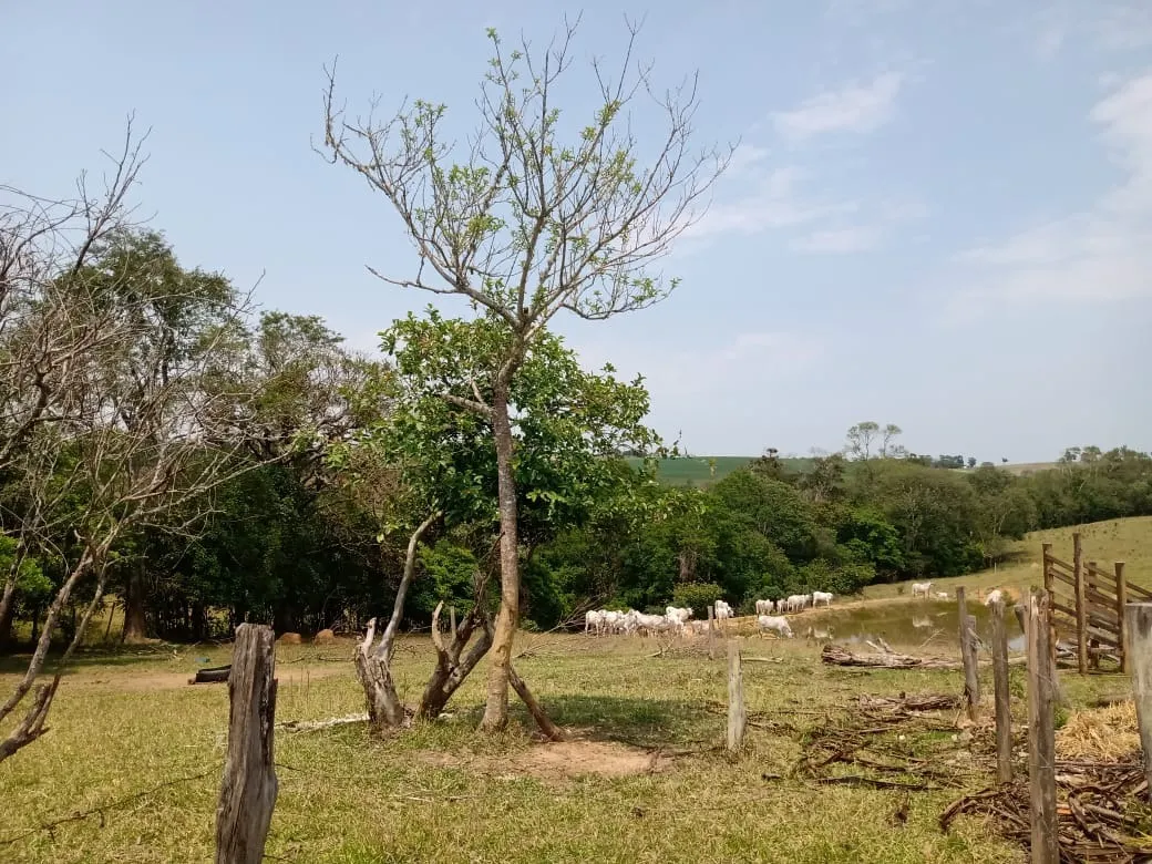 Small farm for sale of 42 acres in São Miguel Arcanjo, SP, Brazil
