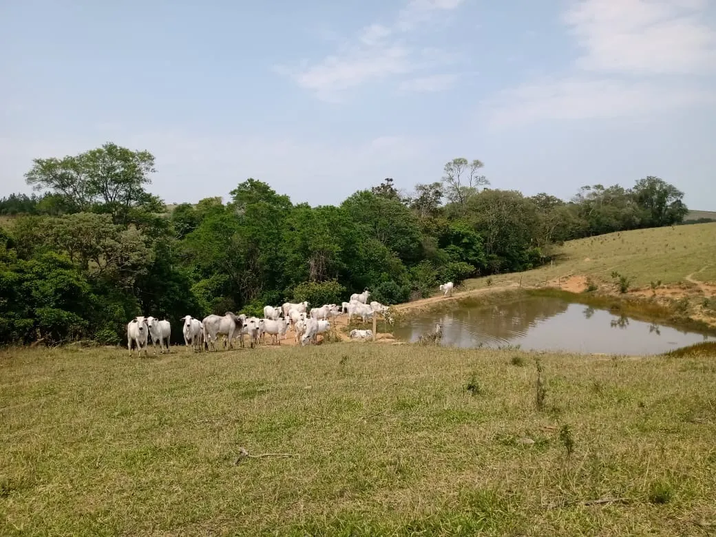 Small farm for sale of 42 acres in São Miguel Arcanjo, SP, Brazil