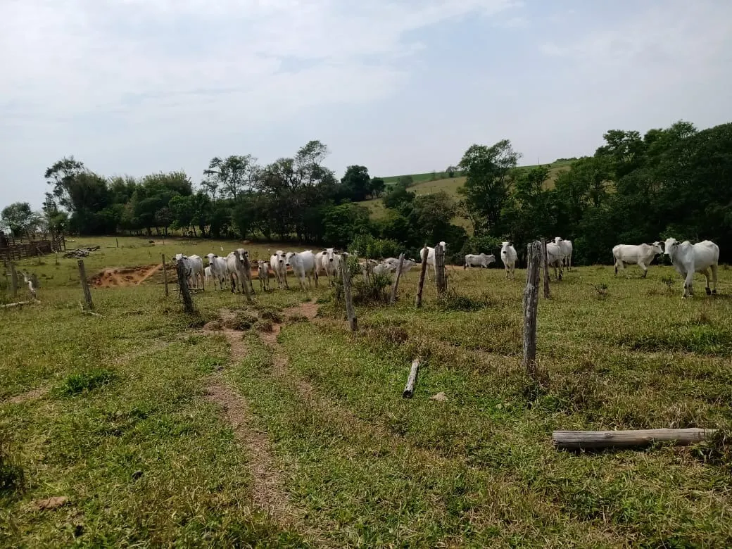 Small farm for sale of 42 acres in São Miguel Arcanjo, SP, Brazil
