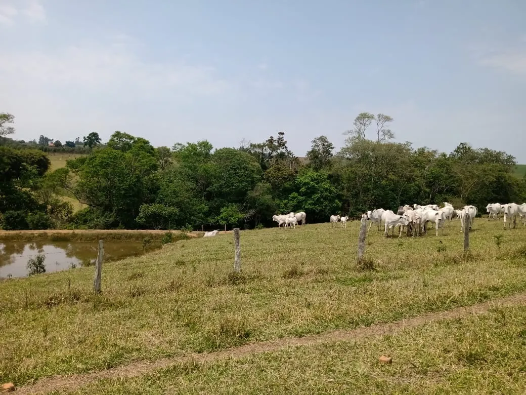 Small farm for sale of 42 acres in São Miguel Arcanjo, SP, Brazil