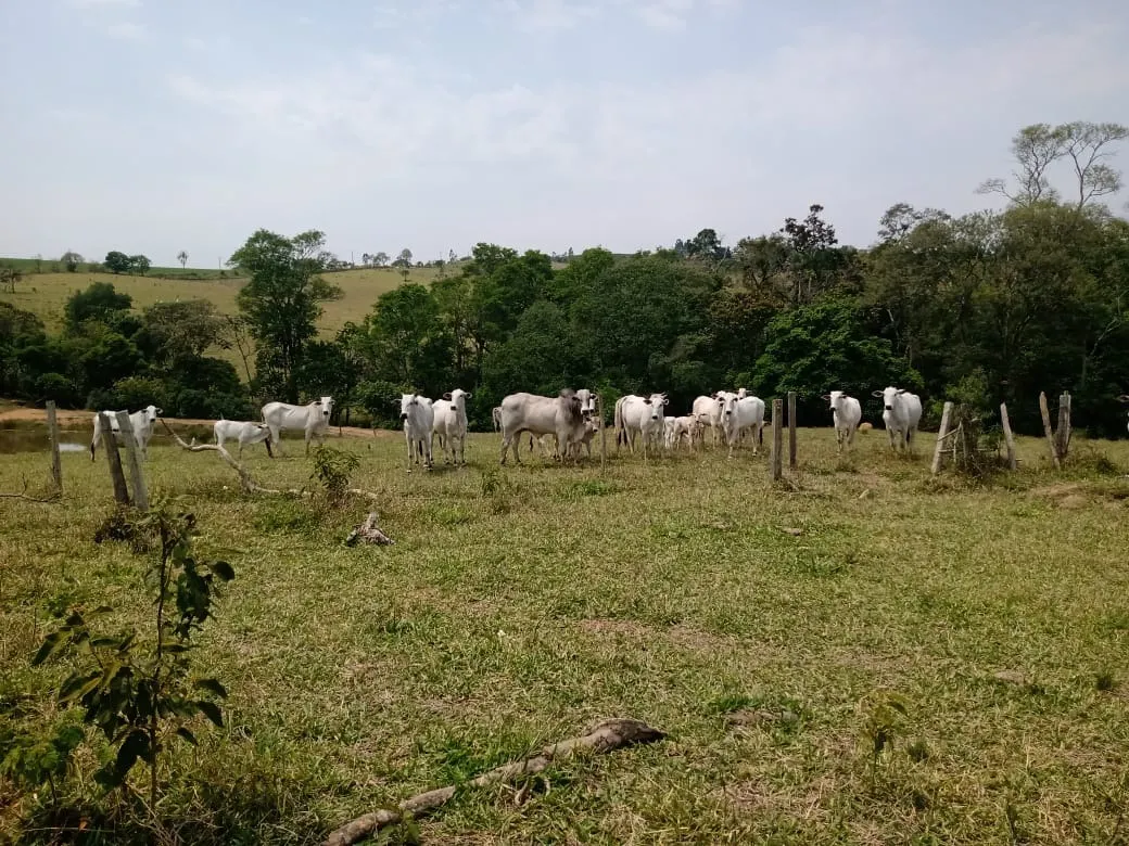 Small farm for sale of 42 acres in São Miguel Arcanjo, SP, Brazil
