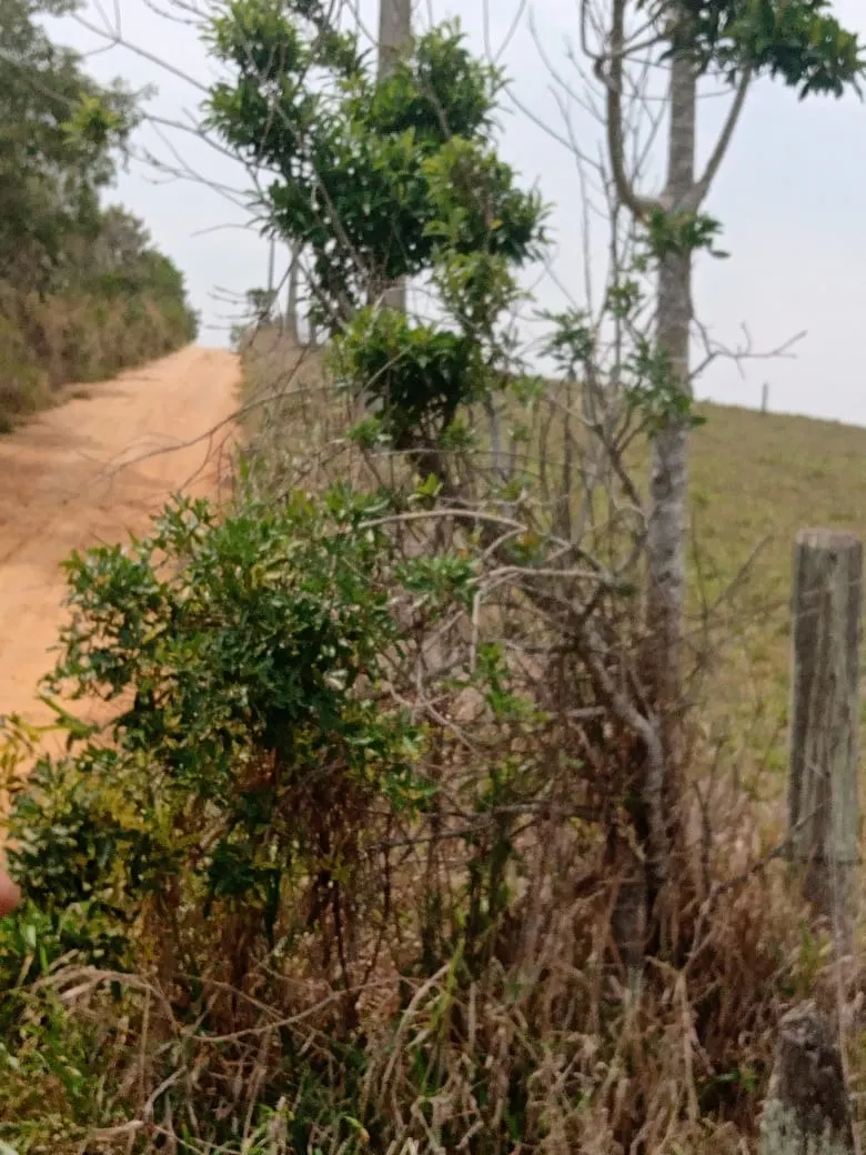 Small farm for sale of 42 acres in São Miguel Arcanjo, SP, Brazil