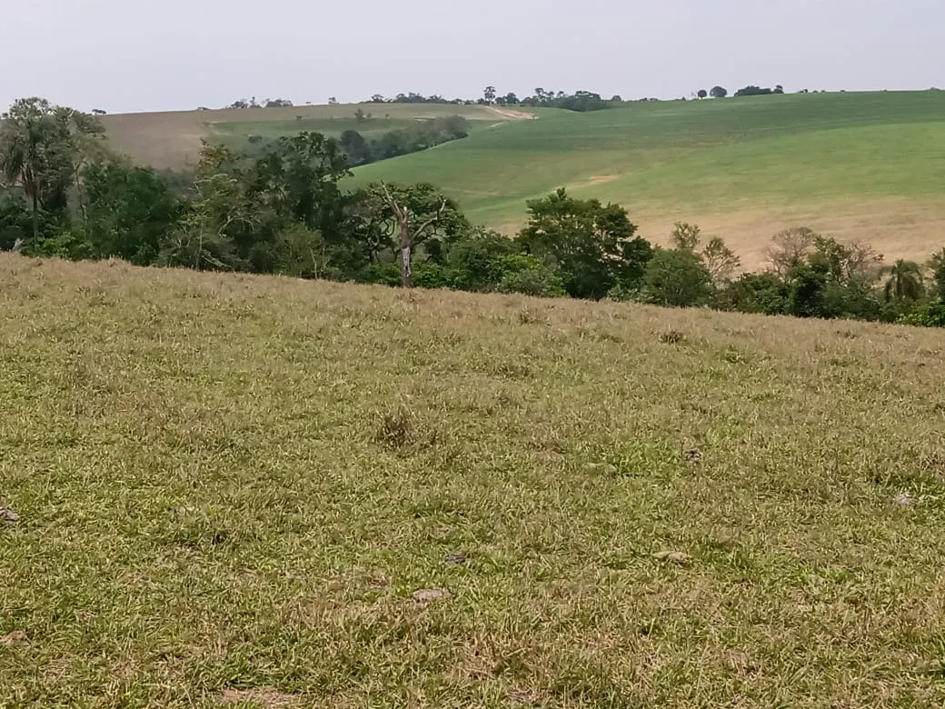 Small farm for sale of 42 acres in São Miguel Arcanjo, SP, Brazil