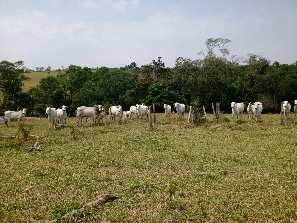 Small farm for sale of 42 acres in São Miguel Arcanjo, SP, Brazil