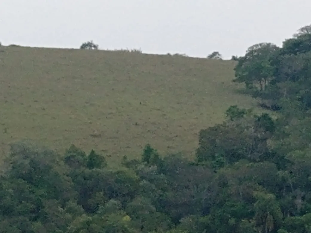 Small farm for sale of 42 acres in São Miguel Arcanjo, SP, Brazil