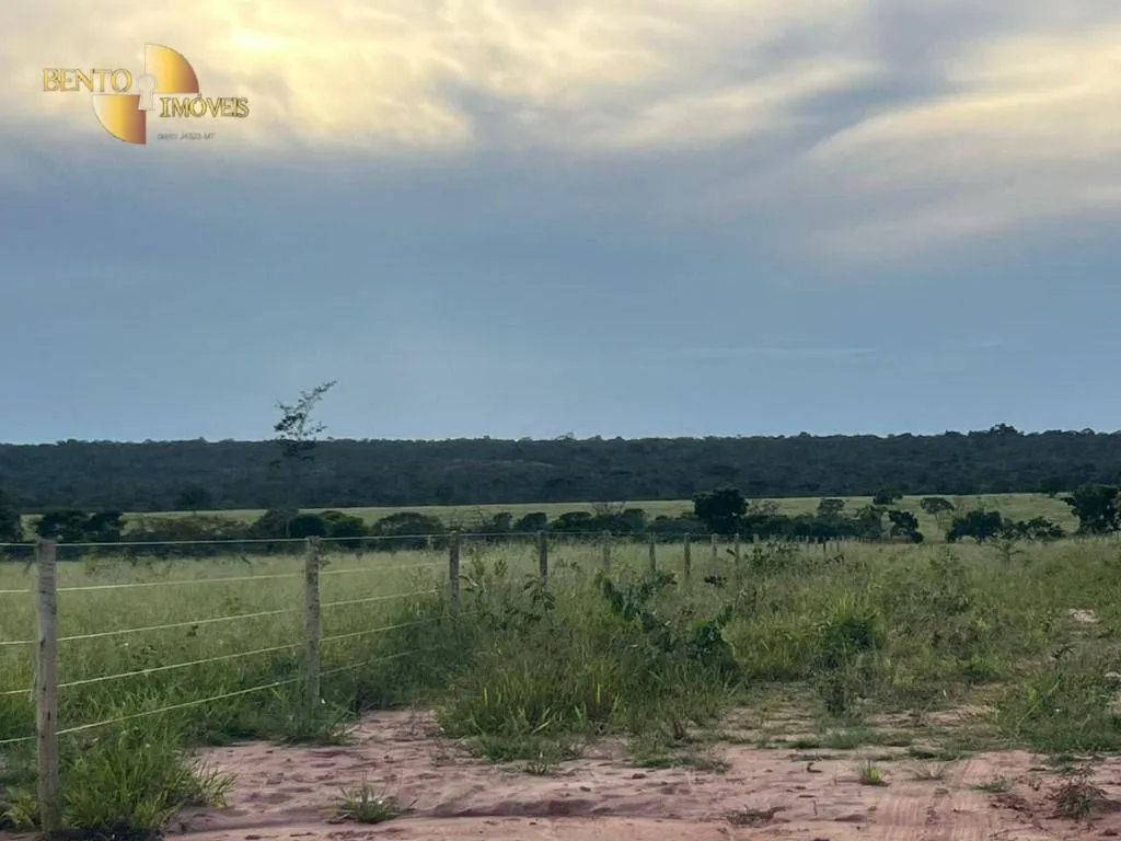 Fazenda à venda de 3.300 ha em Pintópolis, MG, Brasil