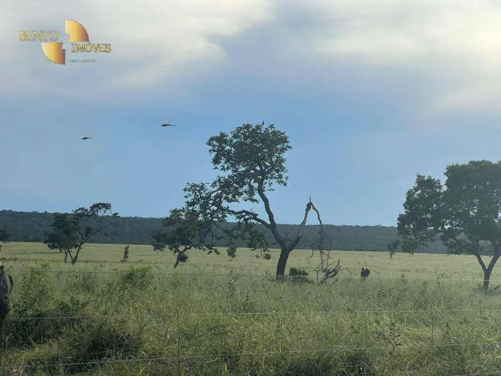 Fazenda à venda de 3.300 ha em Pintópolis, MG, Brasil