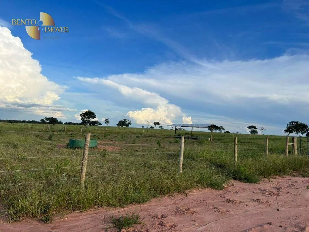 Fazenda à venda de 3.300 ha em Pintópolis, MG, Brasil