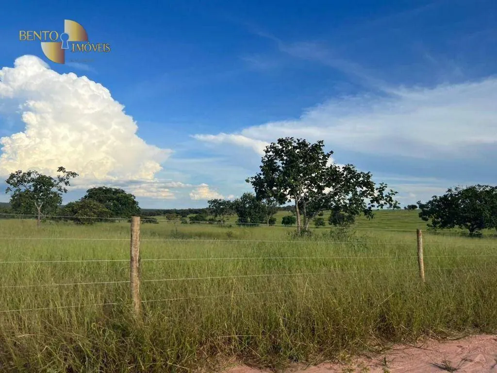 Fazenda à venda de 3.300 ha em Pintópolis, MG, Brasil
