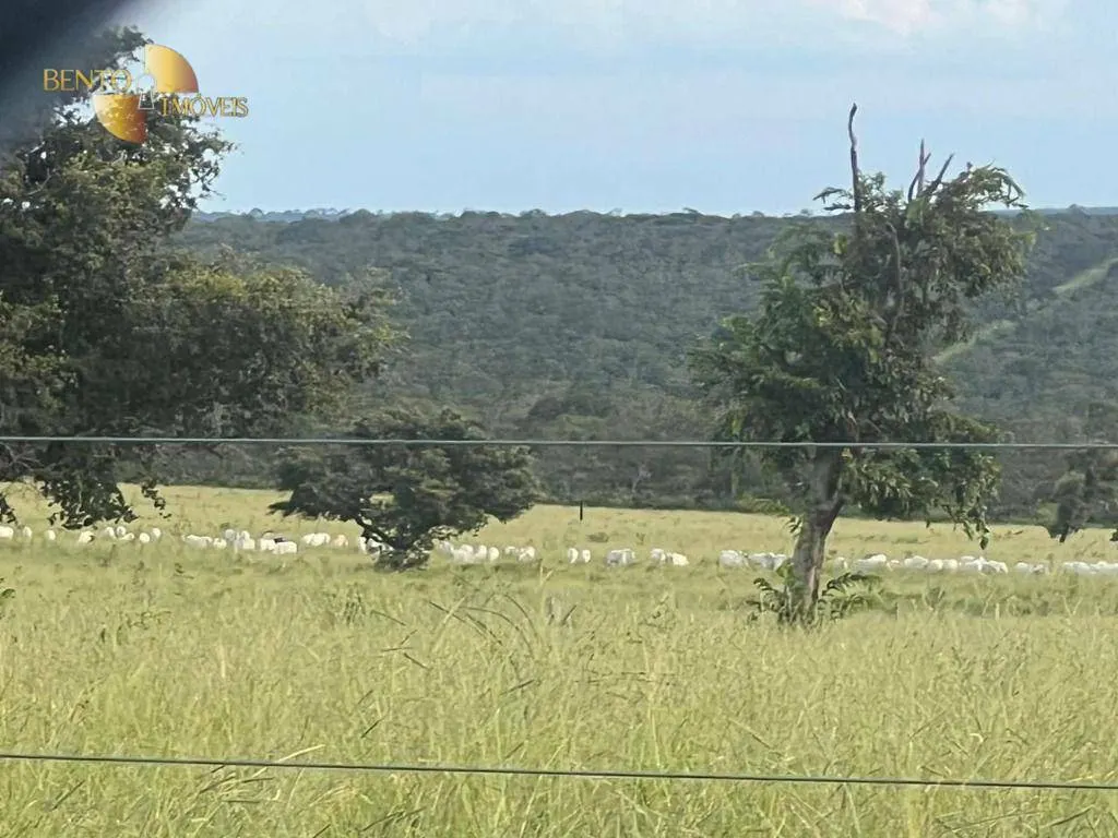 Fazenda à venda de 3.300 ha em Pintópolis, MG, Brasil