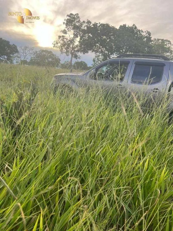 Fazenda à venda de 3.300 ha em Pintópolis, MG, Brasil