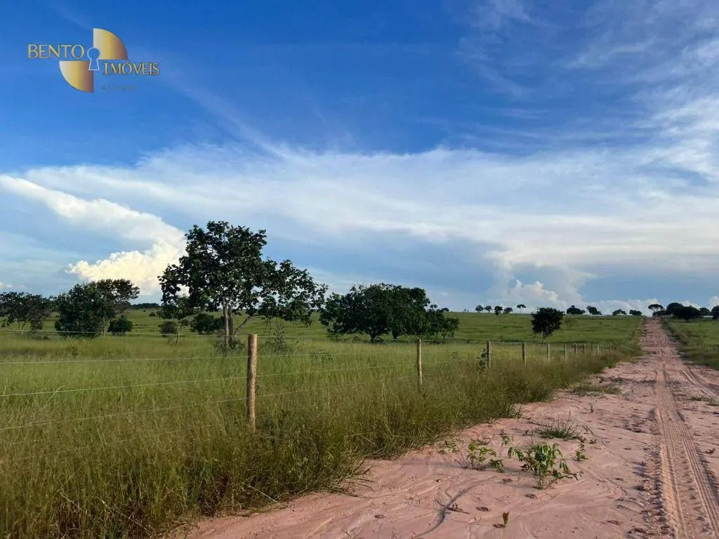 Fazenda à venda de 3.300 ha em Pintópolis, MG, Brasil