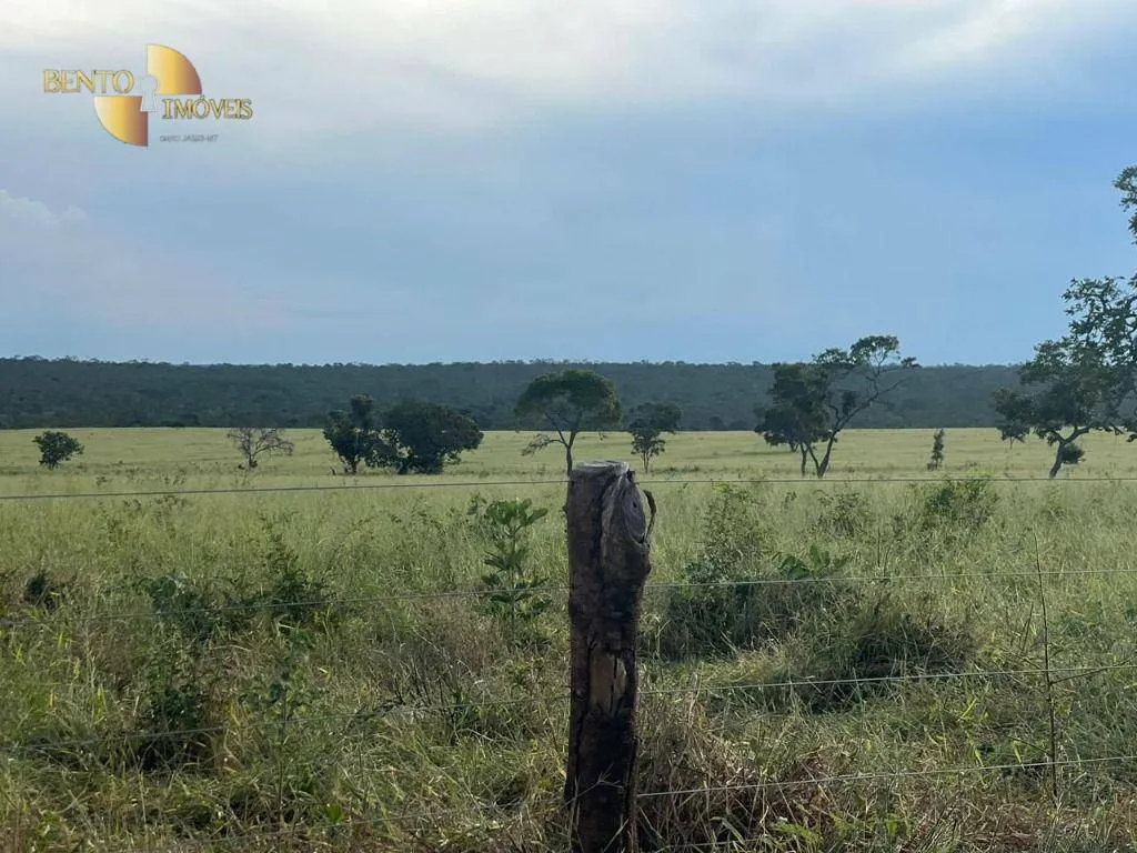 Fazenda à venda de 3.300 ha em Pintópolis, MG, Brasil