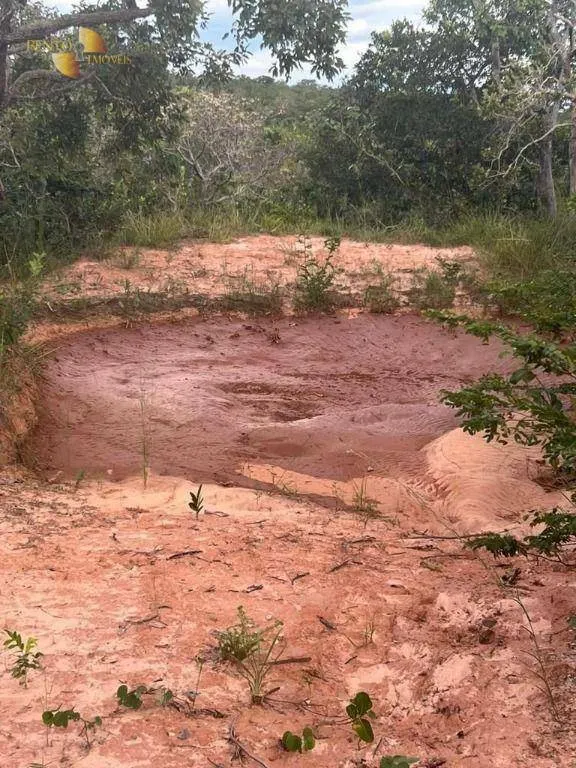 Fazenda à venda de 3.300 ha em Pintópolis, MG, Brasil