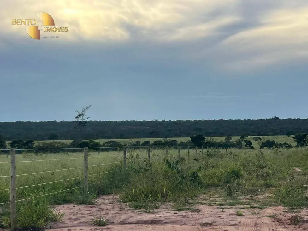 Fazenda à venda de 3.300 ha em Pintópolis, MG, Brasil